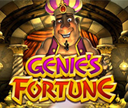 Genie`s Fortune